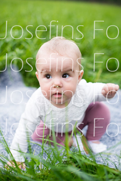 Josefins foto (1 av 1)